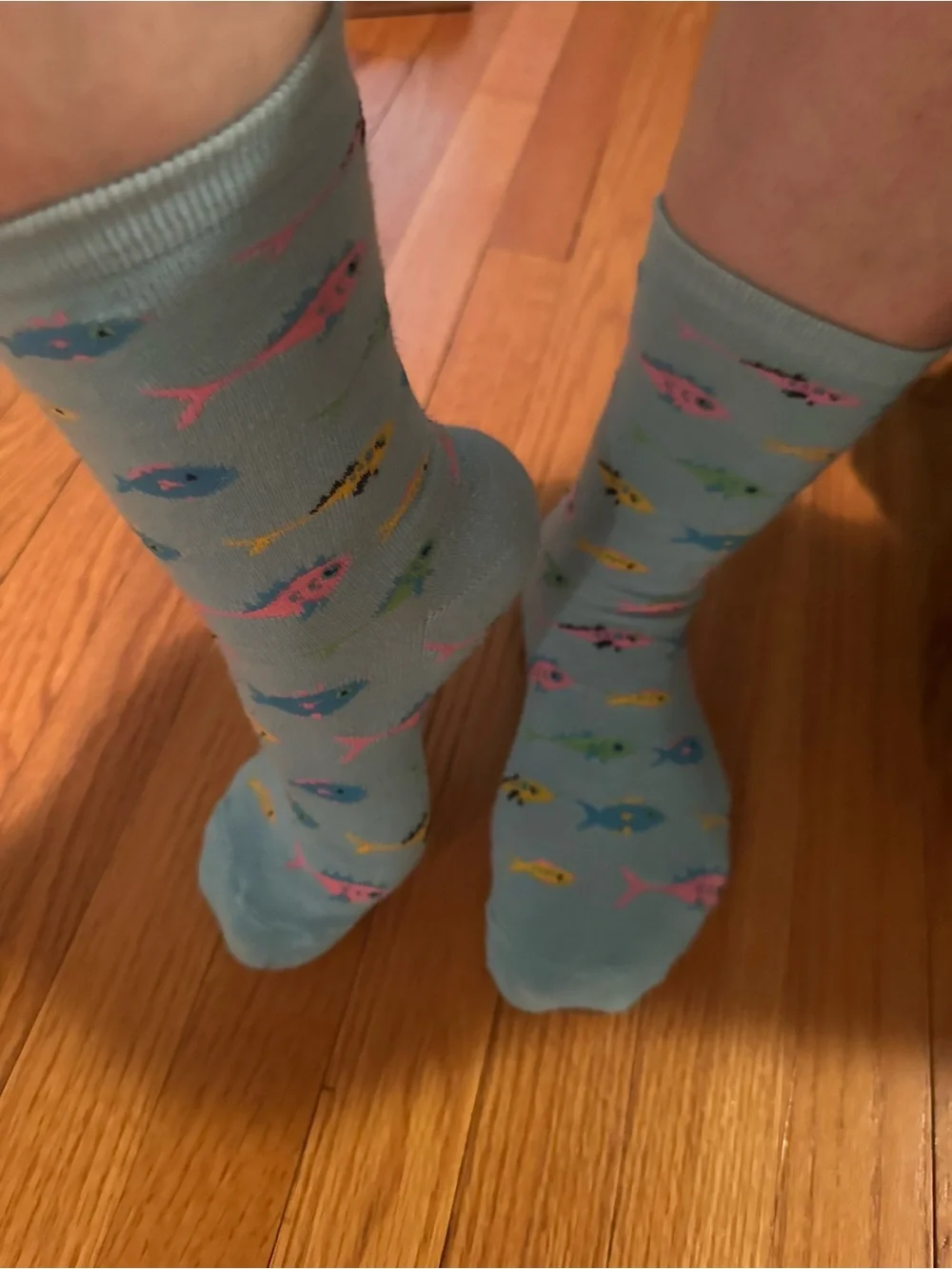 Light Blue Fish Pattern Aquarium Women’s Socks - Casual Pet-Themed Wear